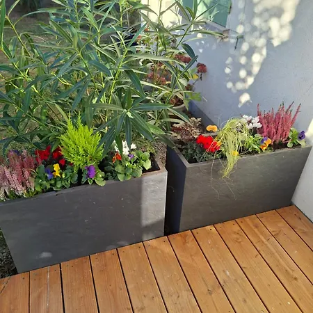 Chez Maxou - 3 Epis Jardin Clos-garage-dogfriendly