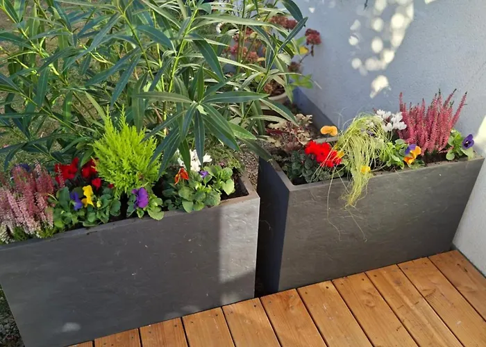 Chez Maxou - 3 Epis Jardin Clos-garage-dogfriendly