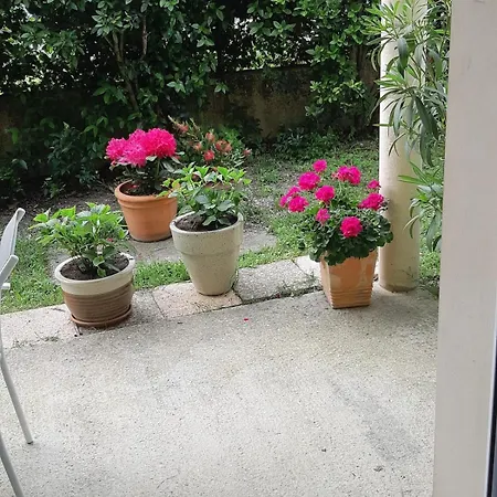 Chez Maxou - 3 Epis Jardin Clos-garage Holiday home